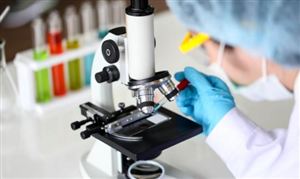 2023中國PQQ行業市場調研和投資分析