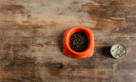 寵物罐頭發展趨勢、寵物罐頭市場大嗎? 國內寵物罐頭行業市場規模分析