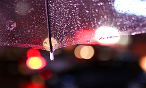 國內雨傘行業市場現狀及未來發展趨勢