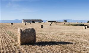 2023年中國秸稈發電行業的市場發展現狀和投資價值分析