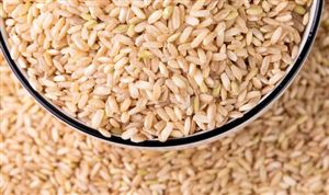 中國胚芽米行業市場發展現狀分析2023