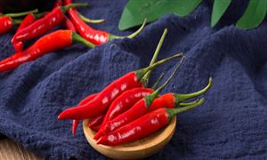 小辣椒大產業 辣椒行業市場深度分析2023
