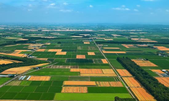 2023農業產業化聯合體行業發展現狀及投資分析