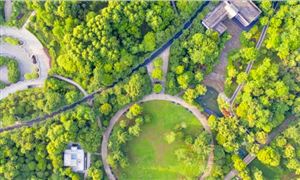 園林綠化工程投標策略 2023園林綠化工程行業(yè)前景調(diào)查