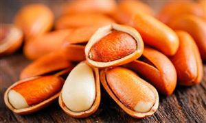 松子消費市場前景分析 松子加工行業發展方向調研