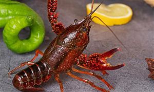 中國生鮮冷鏈物流行業(yè)市場消費現(xiàn)狀 中國生鮮冷鏈物流行業(yè)市場投資趨勢預(yù)測