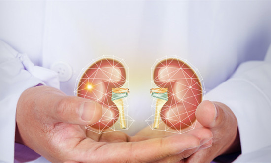 人造器官行業(yè)發(fā)展現(xiàn)狀及市場研究分析報告