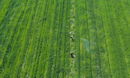 2023微量元素肥料的現(xiàn)狀與趨向分析