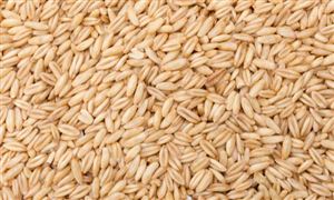 現代農業園區市場現狀及發展趨勢分析2023