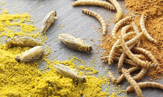 2023年中國無毒生物農(nóng)藥行業(yè)市場發(fā)展機(jī)遇分析