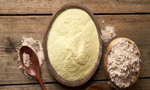 2023蛋白質行業市場發展現狀調研報告