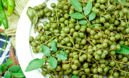 2023年青花椒行業市場投資價值分析