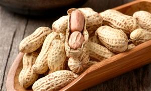 花生行業發展前景及現狀趨勢分析2023