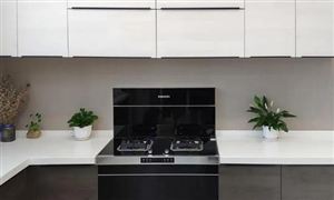 國內(nèi)集成灶行業(yè)發(fā)展趨勢 國內(nèi)集成灶行業(yè)發(fā)展策略研究