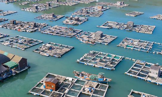 中國成品油運輸行業發展前景及投資風險預測分析2023