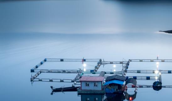 2023年水產(chǎn)漁業(yè)機械市場發(fā)展現(xiàn)狀分析