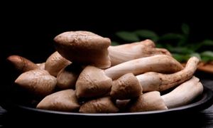 雞樅菌十年漲價逾十倍 食用菌養殖行業發展現狀及前景分析2023