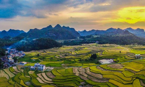 中國農業產業化聯合體發展現狀 中國農業產業化聯合體投資前景預測