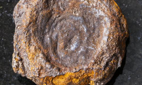 潤滑油基礎油行業市場發展環境與行業未來前景分析2023