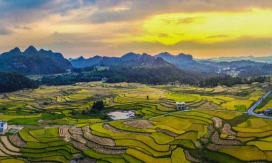 田園綜合體市場發展趨勢及現狀分析2023