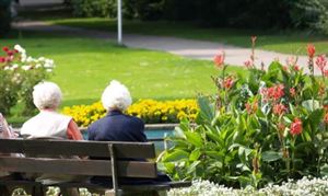 養老模式發展方向 養老模式產業市場投資前景分析