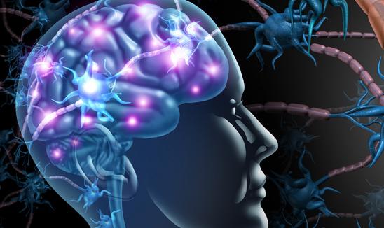 2023年質譜系統行業市場深度分析