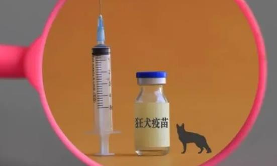狂犬疫苗市場供給 狂犬疫苗行業發展現狀前景分析2023