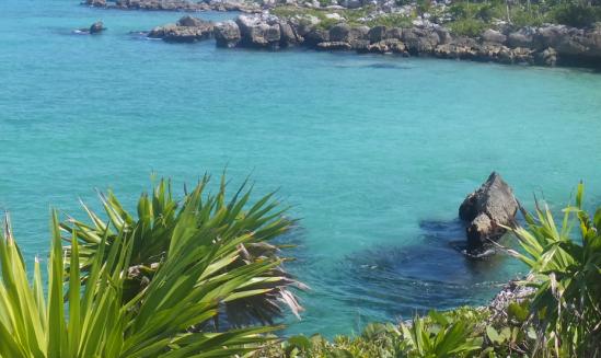 行業(yè)有望迎來(lái)黃金發(fā)展期 中國(guó)生態(tài)主題公園行業(yè)發(fā)展現(xiàn)狀2023