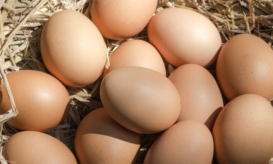 雞蛋加工行業分析：雞蛋產品增值潛力尚未充分挖掘 未來市場空間廣闊