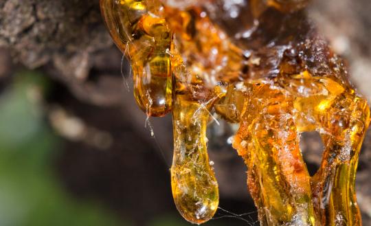 中國(guó)不飽和聚酯樹脂行業(yè)發(fā)展現(xiàn)狀2023 預(yù)計(jì)市場(chǎng)規(guī)模將達(dá)到933.23億元