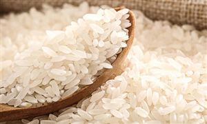 有機大米市場需求不斷增加 中國有機大米行業發展現狀分析2023