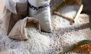 高端大米市場迎來新機遇 高端大米行業市場發展策略研究