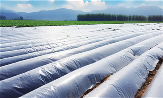可降解膜行業(yè)發(fā)展如何 預(yù)測2026年我國可降解膜行業(yè)產(chǎn)量分析