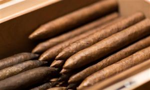 全球市場雪茄銷量增長迅速 中國雪茄行業市場發展現狀2023