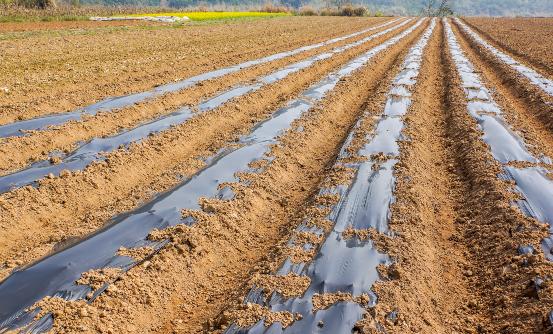 可降解膜行業(yè)報告 可降解膜行業(yè)市場調(diào)查分析