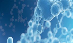 生物工程市場現狀分析 生物工程行業發展前景分析