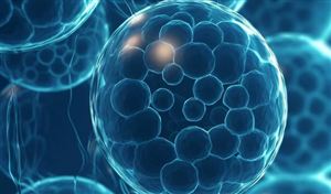 中國干細胞行業市場運行態勢分析2023 政策賦能推動產業高質量發展