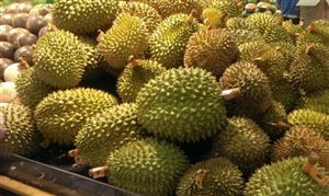 首批國產(chǎn)榴蓮上市售60元一斤 榴蓮行業(yè)市場發(fā)展前景趨勢分析