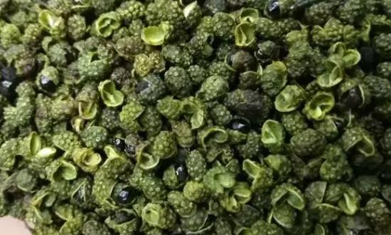 花椒特色產業助力鄉村振興 青花椒行業市場發展前景投資