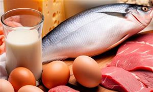 特醫食品行業市場需求 特醫食品行業投資價值研究