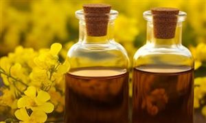 菜籽油行業市場競爭格局 菜籽油行業產量分析