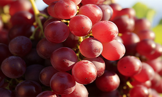 2023紅提行業(yè)發(fā)展現(xiàn)狀及市場(chǎng)供需格局分析