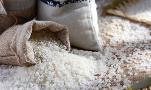 五常大米行業現狀：連續8年蟬聯地標產品大米類全國第一 五常大米產量銷售數據分析