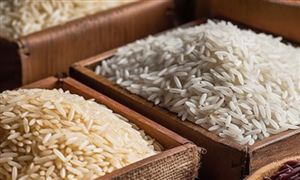 越南的目標是稻谷年產量超過4300萬噸 預計2023年水稻產量將超過4300萬噸