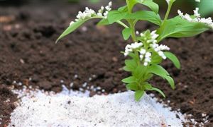 中國微生物肥料產業迎來迅猛發展黃金時期 微生物肥料行業發展現狀分析2023