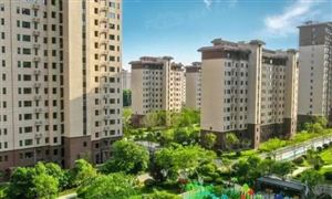 碧桂園上半年預虧450至550億 碧桂園已籌備債務重整 房企投資融資現狀