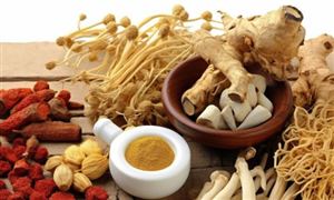 中醫藥上游產業發展現狀及中醫藥行業未來發展方向分析2023