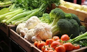 農產品行業市場現狀及農產品行業進出口市場分析2023