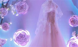 婚紗禮服市場(chǎng)發(fā)展趨勢(shì)及現(xiàn)狀分析2023