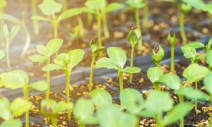 2023智能化設(shè)施農(nóng)業(yè)行業(yè)發(fā)展前景:未來發(fā)展現(xiàn)代設(shè)施農(nóng)業(yè)的計(jì)劃